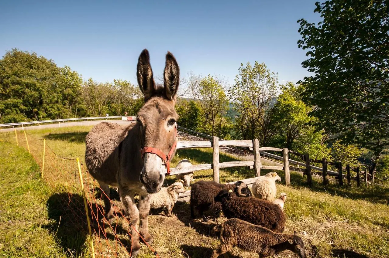 Bed & Breakfast B&B Botton D'Oro Valle Imagna Fuipiano Valle Imagna