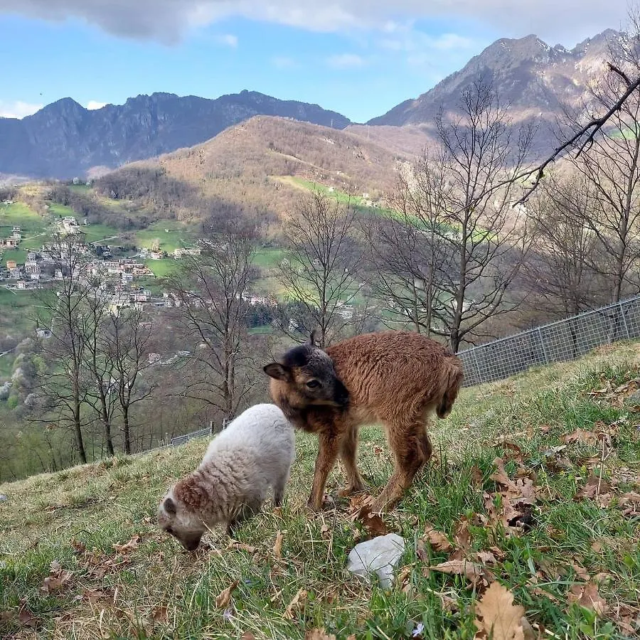 B&B Botton D'Oro Valle Imagna Fuipiano Valle Imagna Italy