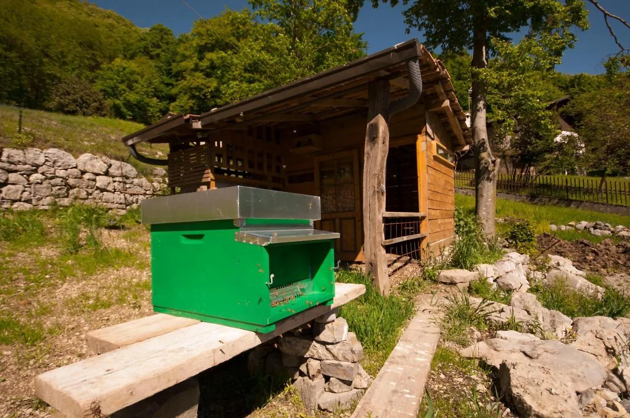 B&B Botton d'Oro Valle Imagna Fuipiano Valle Imagna